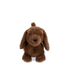 Lump the Dachshund