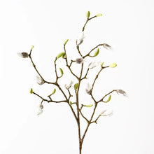 Magnolia Bud Spray - White