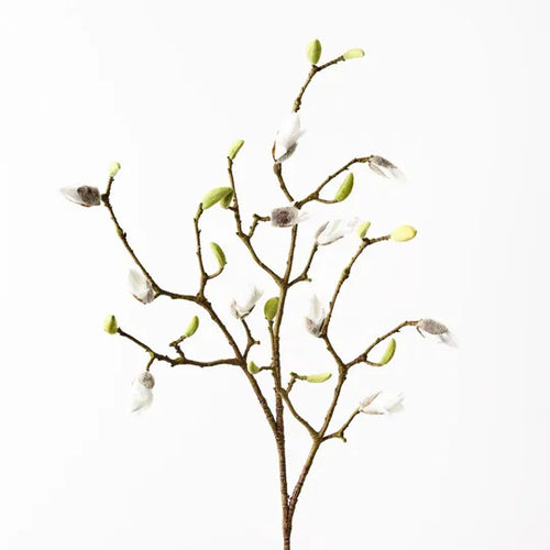 Magnolia Bud Spray - White