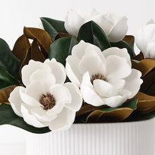 Japanese Magnolia with Pot