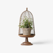 A decorative birdcage-style planter with a wooden pedestal base, holding a small potted green plant in a textured light-colored pot, photographed against a plain light gray background.