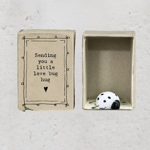 Matchbox Ladybird