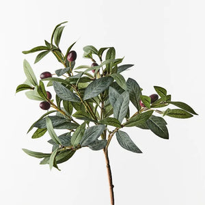 Olive Leaf Pick