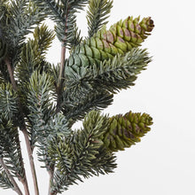 Pine Cone Pick