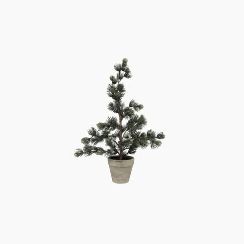 Pine Tree Dusty Green XS