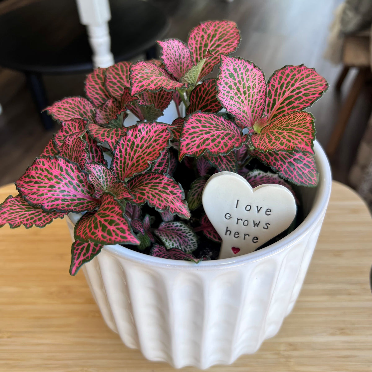 Plant stick - Love Grows Here