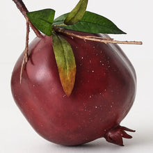 Pomegranate with leaf