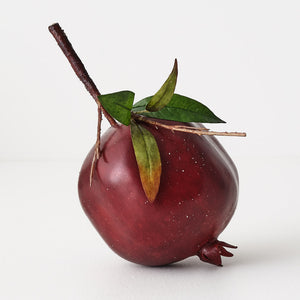 Pomegranate with leaf
