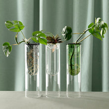 Propagation Vase Clear