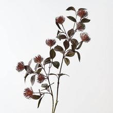 Protea Leucospermum Spray