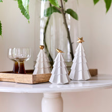 Robert Gordon Christmas Tree with Gold Star