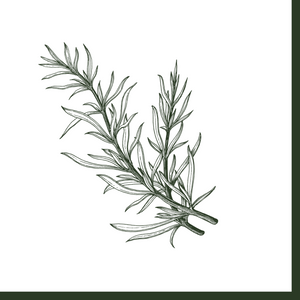 Rosemary Cocktail Napkin