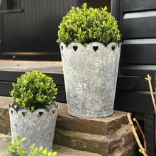 Scalloped Heart Planter