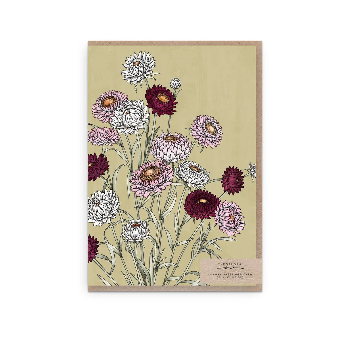 Strawflowers Greeting Card