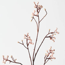 Tallow Spray Natural