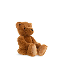 Theodore the Bear