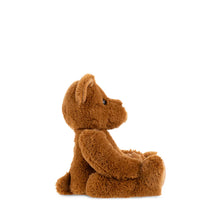 Theodore the Bear