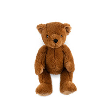 Theodore the Bear