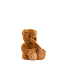 Theodore the Bear
