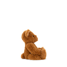 Theodore the Bear