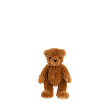 Theodore the Bear