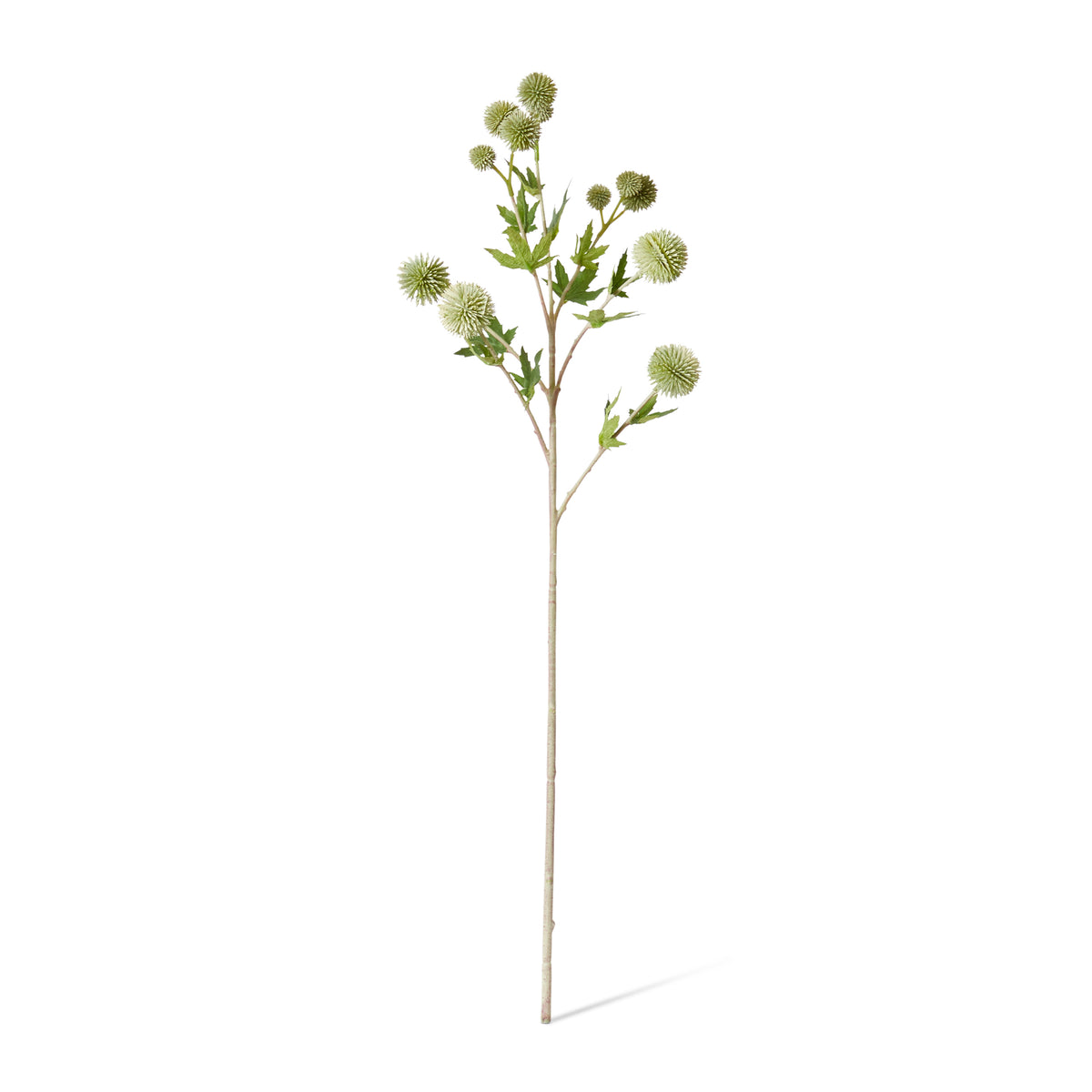 Thistle Ball Spray