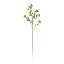 Thistle Ball Spray