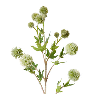 Thistle Ball Spray