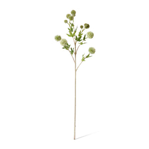 Thistle Ball Spray