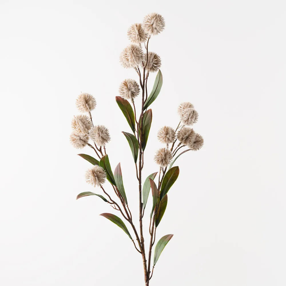 Thistle Spray
