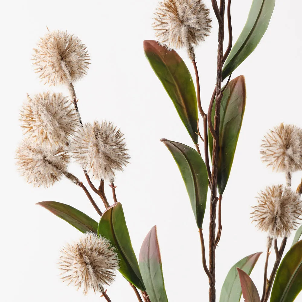 Thistle Spray