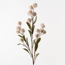 Thistle Spray