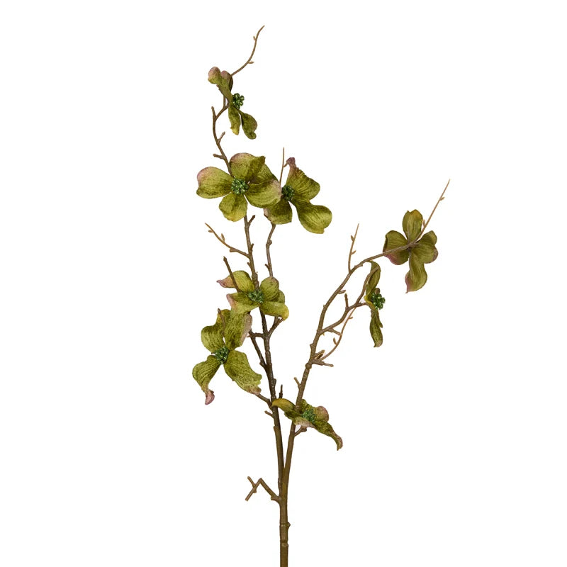 Velvety Green Foliage Stem