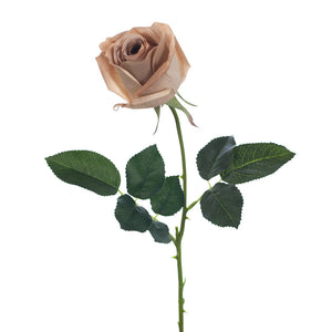 Rose Bud Stem