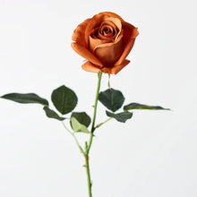 Rose Bud Stem