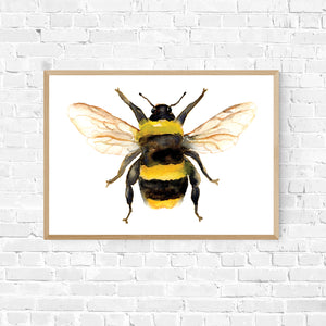 Bee Archival Quality Print (Single Bee)