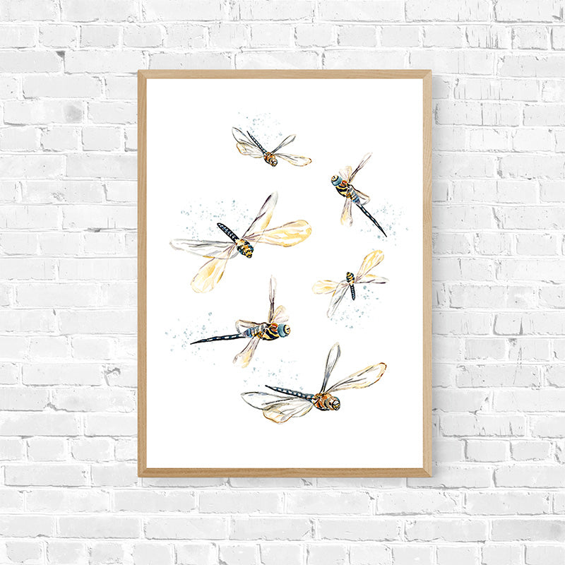 Dragonflies Archival Print