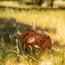 Henry the Highland Cow