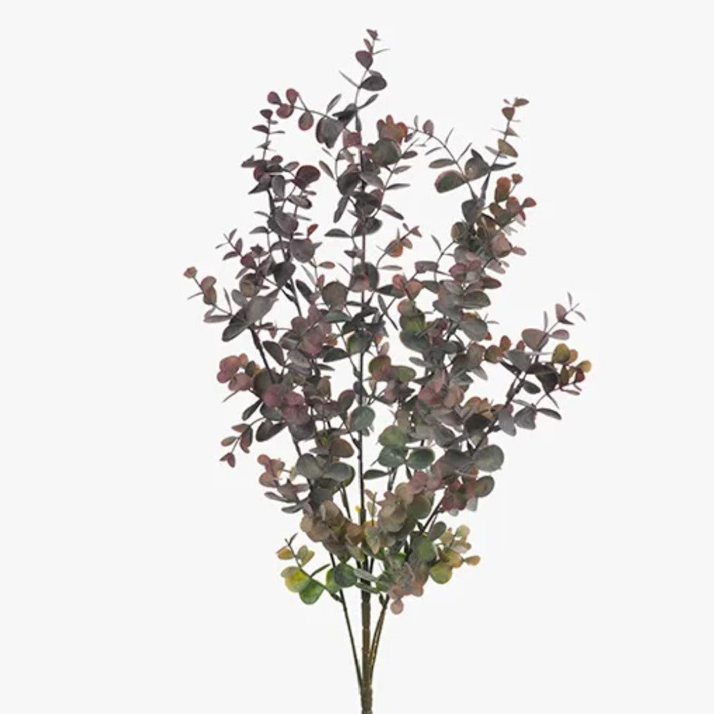 Eucalyptus Bush Burgundy Green
