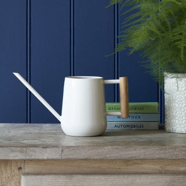 Indoor Watering Can