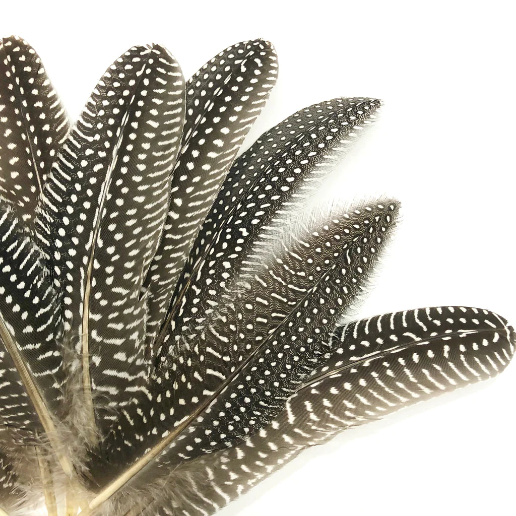 Natural Guinea Fowl Wing Feathers