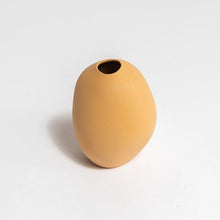 Harmie Seed Vase