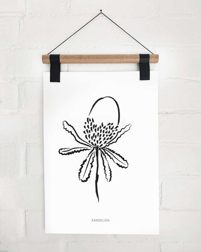 Print - Banksia by Zandelion