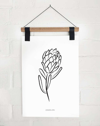 Print - Protea by Zandelion